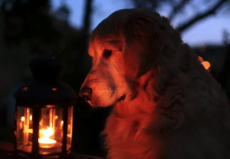 灯光与阴影的关系和设置