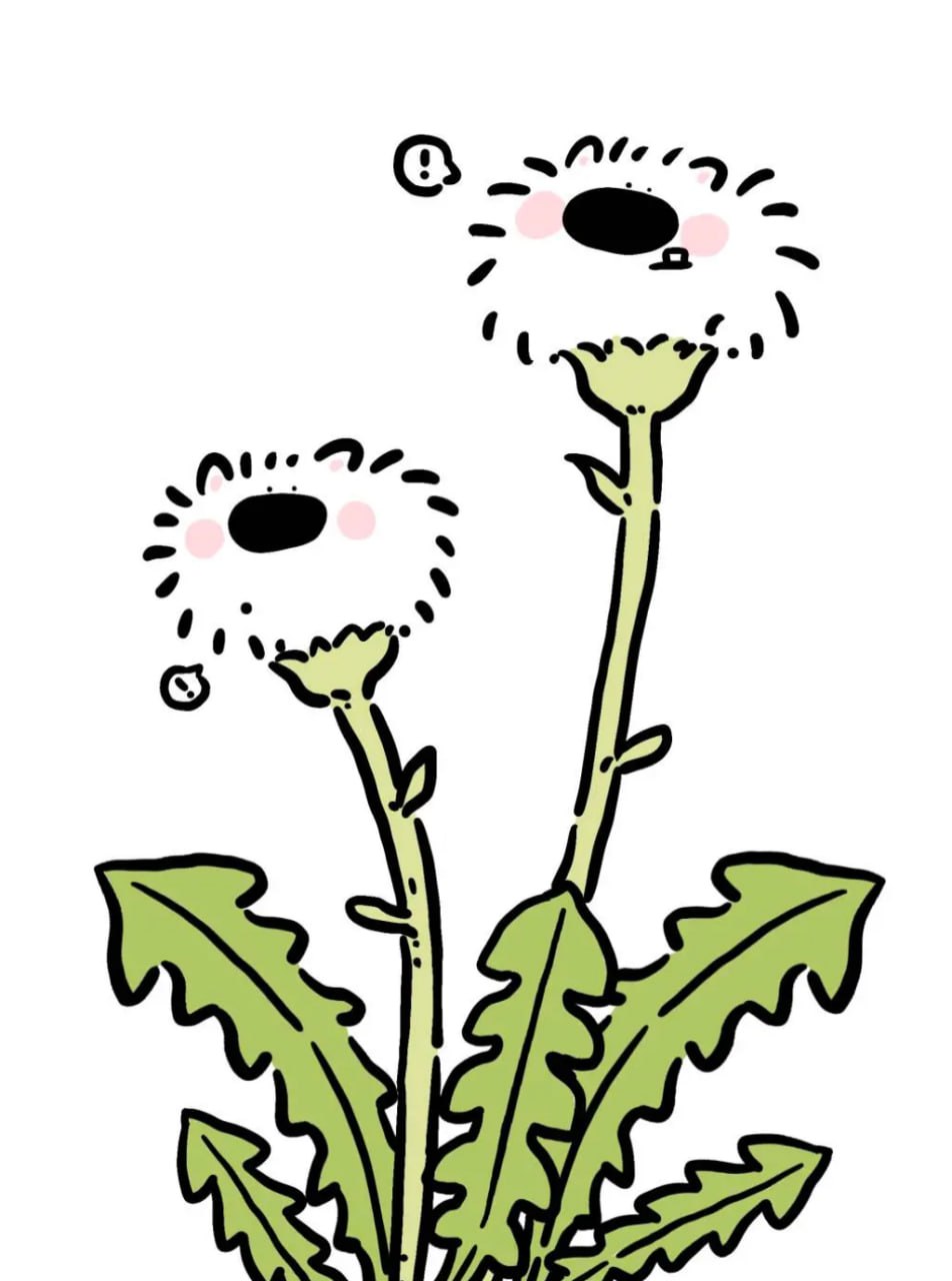 今天早上下了好大一场雨